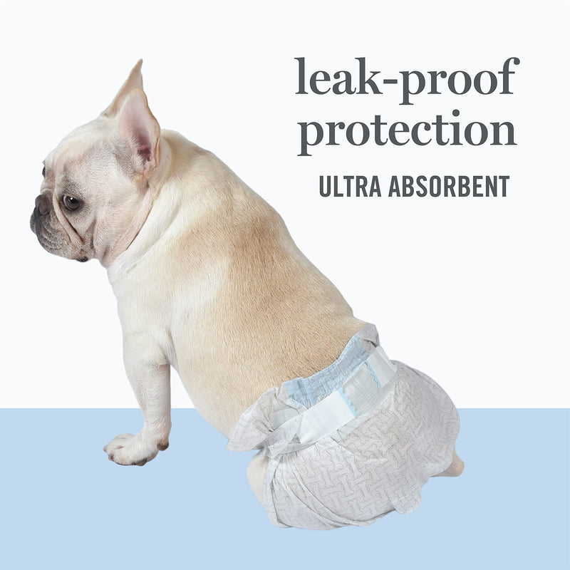MARTHA STEWART for Pets Female Dog Diapers - Disposable Female Dog Diapers, Various Sizes - 12 Count Disposable Dog Diapers, Leakproof and Absorbent Female Dog Diapers for All Sized Dogs Small - BeesActive Australia