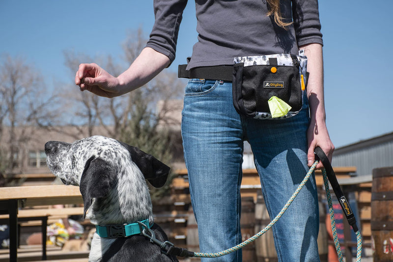 OllyDog Backcountry Day Bag, Fanny Pack, Dog Treat Pouch, Hands-Free for Training, Hip Pack with Built-in Poop Bag Dispenser, Removable Waist Belt Clip, Travel Dog Treat Container Tree Hugger - Night - BeesActive Australia