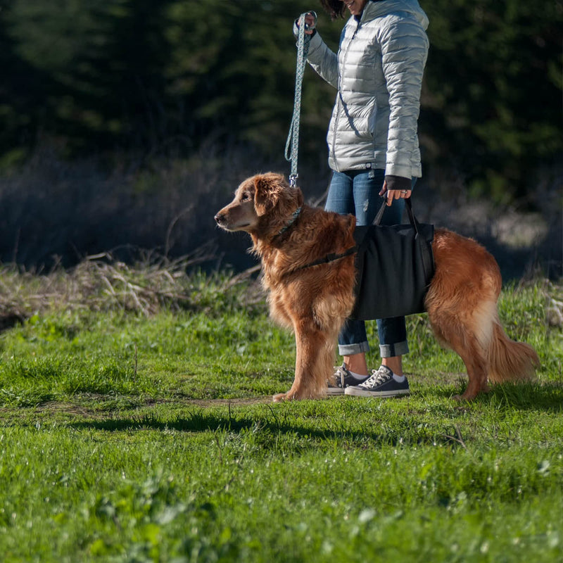 Walkabelly Support Sling, Easy-to-Use Belly Harness for Daily Mobility, Stop Straining to Lift Your Pet, Quick-Lift Original Design by Walkabout Harnesses Small Walkabelly - BeesActive Australia