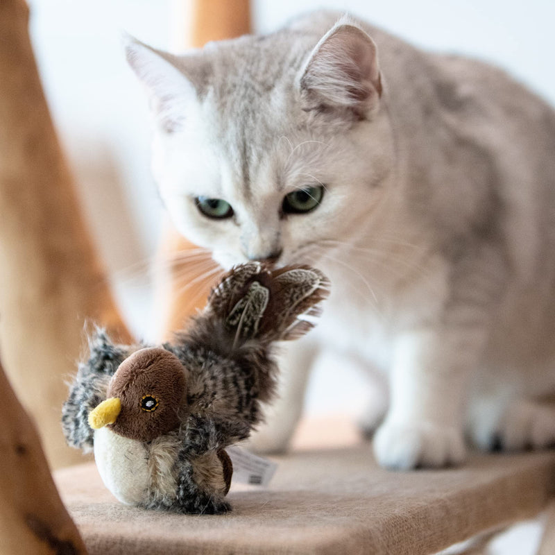 Gigwi Cat Toys for Indoor Cats, Interactive Cat Toy with Real Chirping Bird Electronic Sound, Cat Feather Toys with Soft Plush Relieve Boredom Squeaky - BeesActive Australia