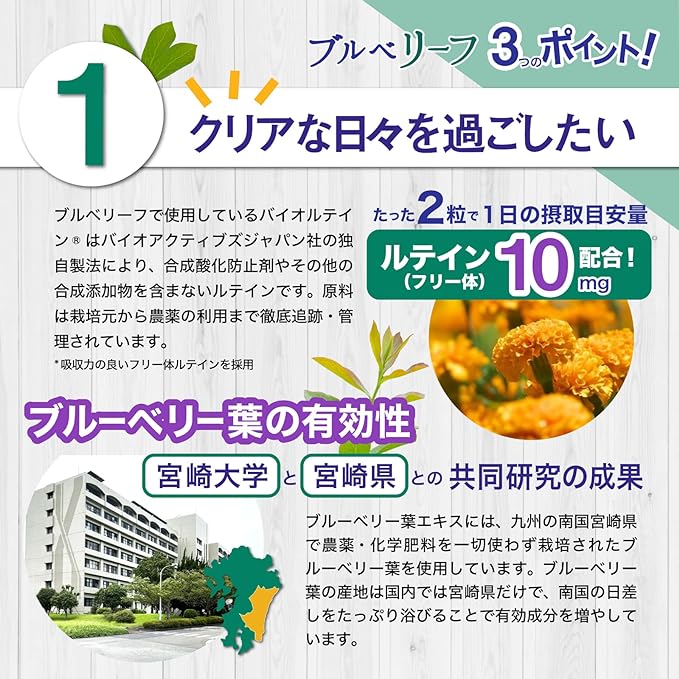 Blueberry Polyphenol Lutein Supplement (Collaborative Research with Universities and Prefectures), Made in Kyushu, Zeaxanthine Proanthyanidin, Chlorogenic Acid, Pesticide Free, 30 Day Supply - BeesActive Australia