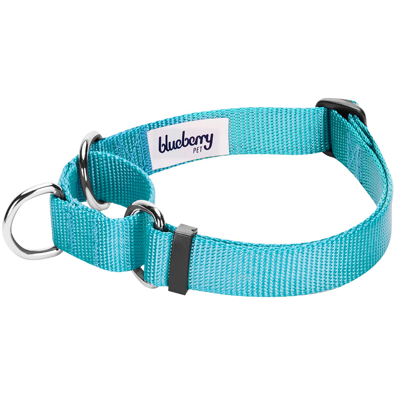 Blueberry Pet Essentials 20 Colors Martingale Safety Training Dog Collars, Personalized Martingale Dog Collars Large Turquoise - BeesActive Australia