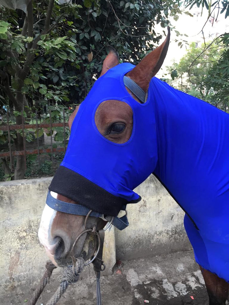 Majestic Ally Stretch Lycra Horse Hood with Zipper Medium Royal Blue - BeesActive Australia