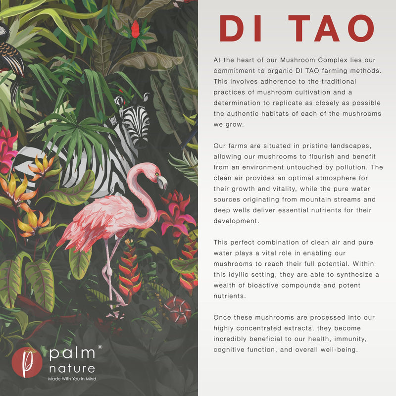 Palm Nature 7 Mushroom Complex - High Strength Extracts Not Powders - 30% Beta-Glucans - 90 Capsules - 1500mg Per Serving - Lions Mane, Chaga, Reishi, Shiitake, Maitake, Tremella, Cordyceps - BeesActive Australia