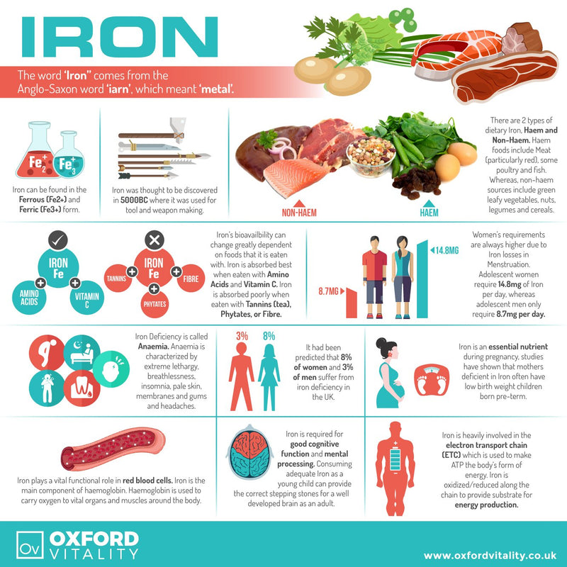 Iron Tablets | 14mg Supplement | Energy, Menstrual Health, Immunity & Blood Health | Oxford Vitality (120 Tablets) 2 Count (Pack of 1) - BeesActive Australia