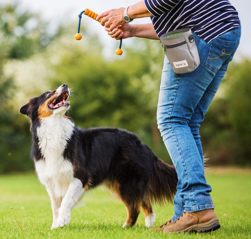 Tuff Mutt Dog Treat Pouch for Training with Poop Bag Dispenser, Includes 1 Roll of Earth Rated Pet Waste Bags, Metal Clip, Adjustable Waist Belt Makes it Easy to Carry Treats, Kibble and Accessories - BeesActive Australia