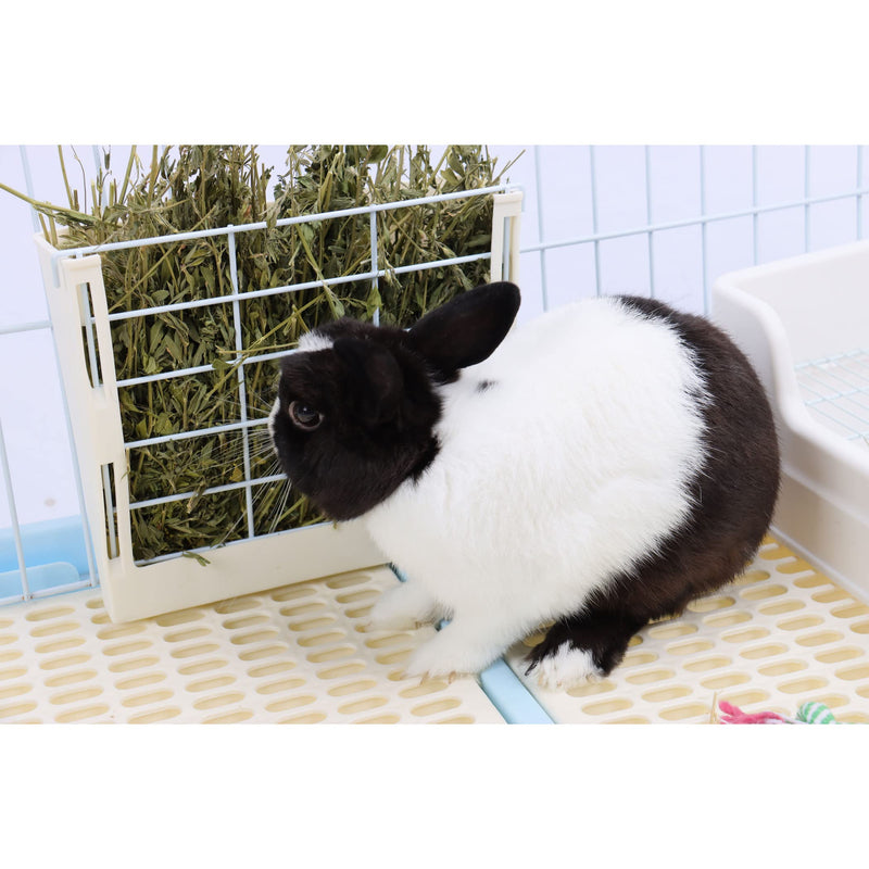 RUBYHOME Hay Feeder for Rabbits, Guinea Pigs, and Chinchillas - Minimize Waste and Mess with 9 1/4" x 3 3/4" x 8" Hanging Alfalfa and Timothy Hay Dispenser White - BeesActive Australia