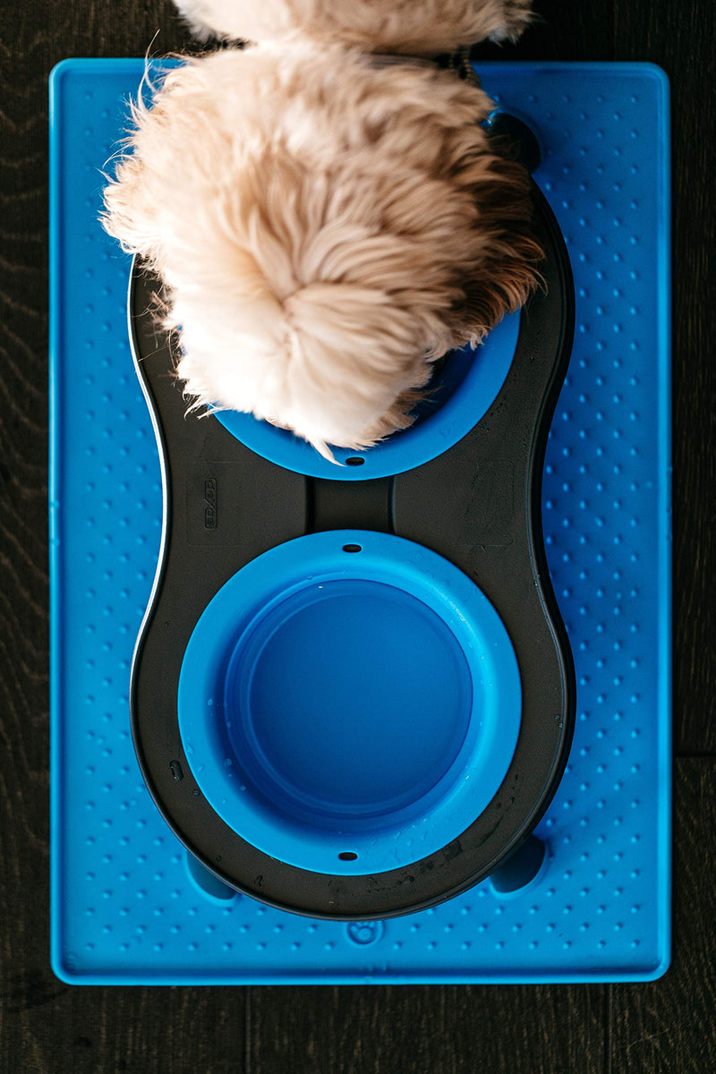 Dexas Popware for Pets Double Elevated Pet Feeder Large/2.5 Cup Capacity Bowls Pro Blue - BeesActive Australia