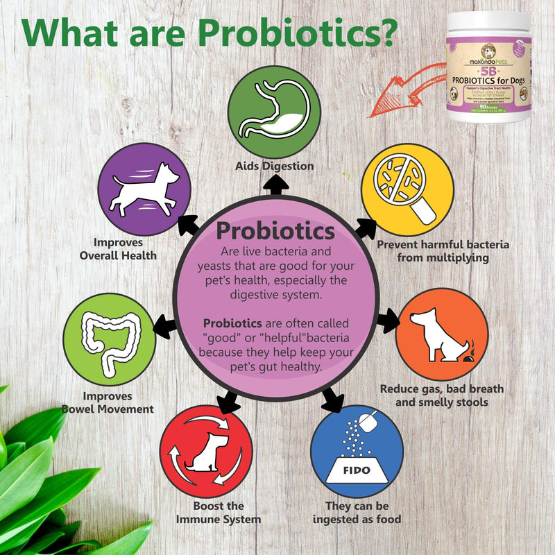 Probiotics for Dogs & Puppies–Extra Strength 9 Species, 5 Billion CFU per Scoop of Dog Probiotics and Digestive Enzymes for Dogs. Support Fiber for Dogs & Dog Allergy Relief– Powder Probiotic for Dogs 3.17 Ounces - BeesActive Australia