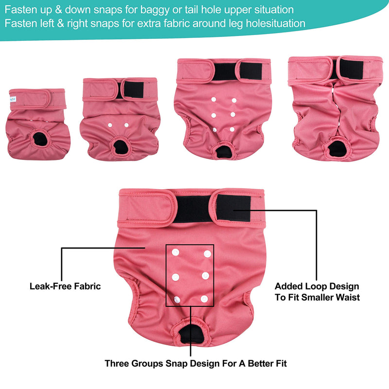 Paw Legend Reusable Female Dog Diapers, Pack of 3 Large (17.5''-27'' Waist) Cheerful (Black Lining) - BeesActive Australia