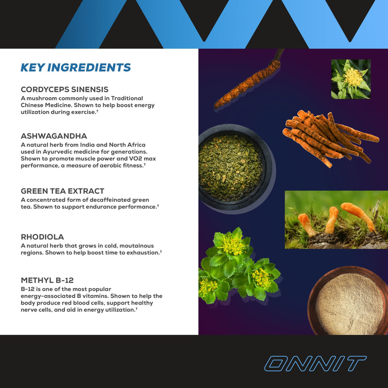 ONNIT Shroom TECH Sport (84ct) | All Natural Pre-Workout Supplement with Ashwagandha, Cordyceps Mushroom, and Rhodiola Rosea 84 Count (Pack of 1) - BeesActive Australia