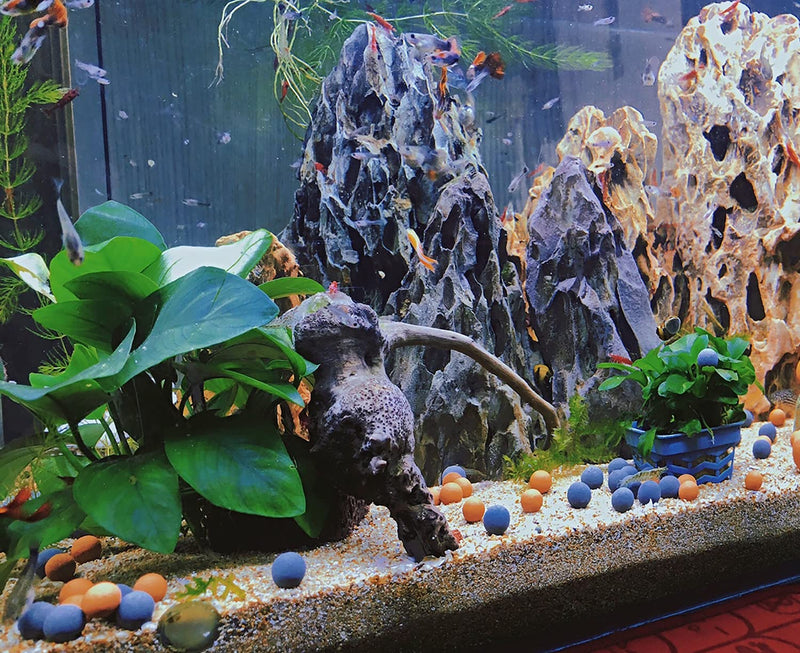 Tourmaline Balls for Betta Fish Tank Accessories.Shrimp Mineral Freshwater Aquarium Tank.Mineral Supplement Substrate.Decorate Fish Bowl Balls,Snail,Betta Fish Goldfish Food,Live Shrimp Food. - BeesActive Australia