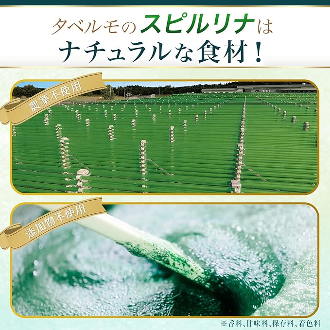 TABERUMO, "Raw" Spirulina Tabelmo (Flake Type), 30 Pack, Easy Nutrition, King of Super Food, SPIRULINA - BeesActive Australia