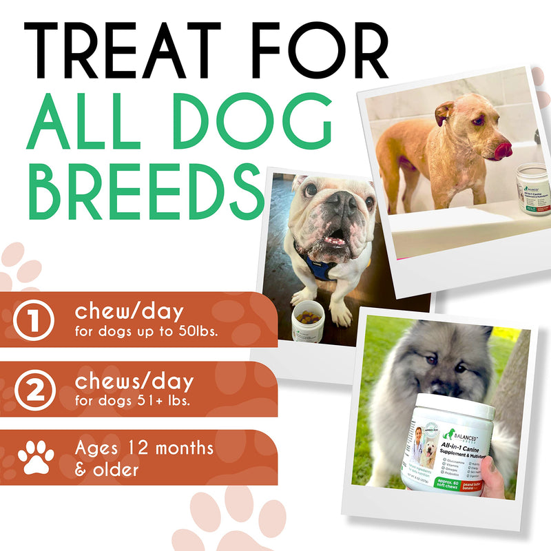 Balanced Breed Small & Large Dog Multivitamin Chewable w/ Glucosamine Dog Vitamins & Supplements Chondroitin MSM Hip & Joint Support Old Senior Health Salmon Oil Immune Booster Skin Heart Probiotics - BeesActive Australia