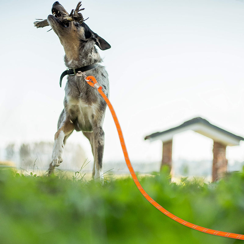 Segzwlor Long Dog Leash - 30ft, 50ft Reflective Training Heavy Duty Rope Dog Leash - Nylon Dog Lead Check Cord for Walking, Hunting, Camping, Running, etc. Easy Control for Small, Medium, Large Dogs 50 FT Orange - BeesActive Australia