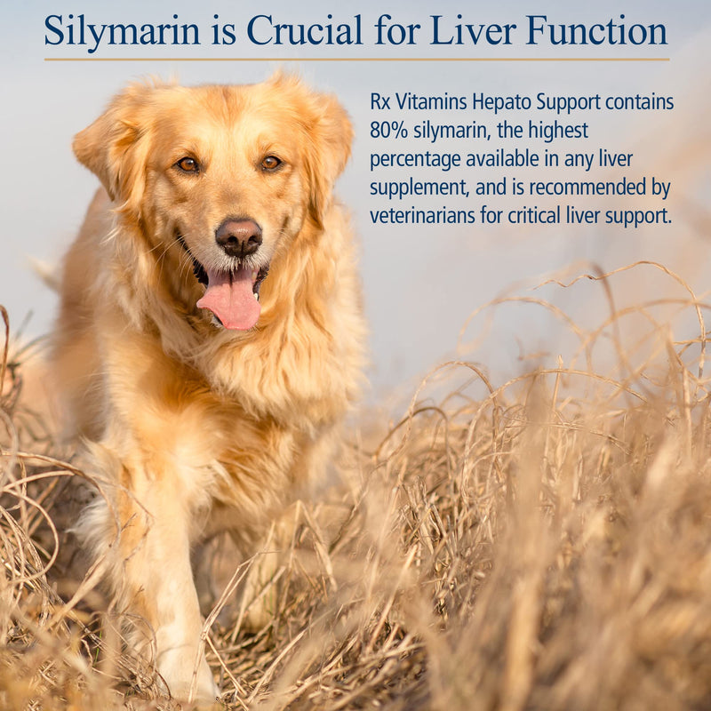 Rx Vitamins Hepato Support for Dogs & Cats - Milk Thistle Supplement for Pets - 100mg Milk Thistle for Healthy Liver Function - Silymarin Capsules for Pets - 180 ct. - BeesActive Australia