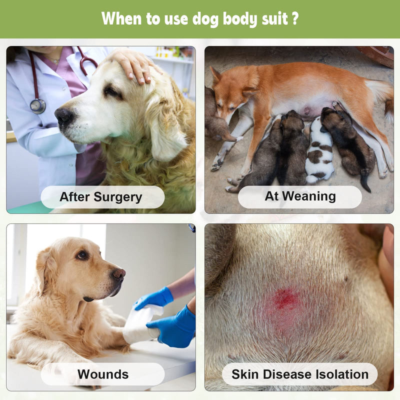 QUEARN Dog Surgery Recovery Suit 2 Packs, Professional Pet Recovery Shirt Dog Abdominal Wounds Bandages for Male Female Pet Surgical Snugly Suit After Surgery Anti-Licking Dog Onesies Medium (Pack of 2) - BeesActive Australia