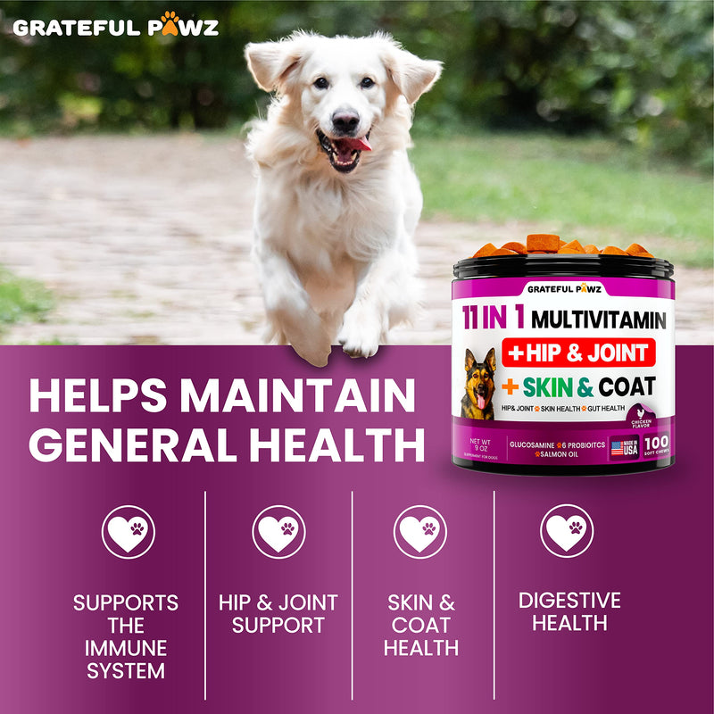 Dog Multivitamin Chewable with Glucosamine - Dog Vitamins and Supplements, Senior & Puppy Multivitamin for Dogs - Pet Chondroitin Hip and Joint Support Health, Immune Booster, Skin, Heart, Probiotics - BeesActive Australia