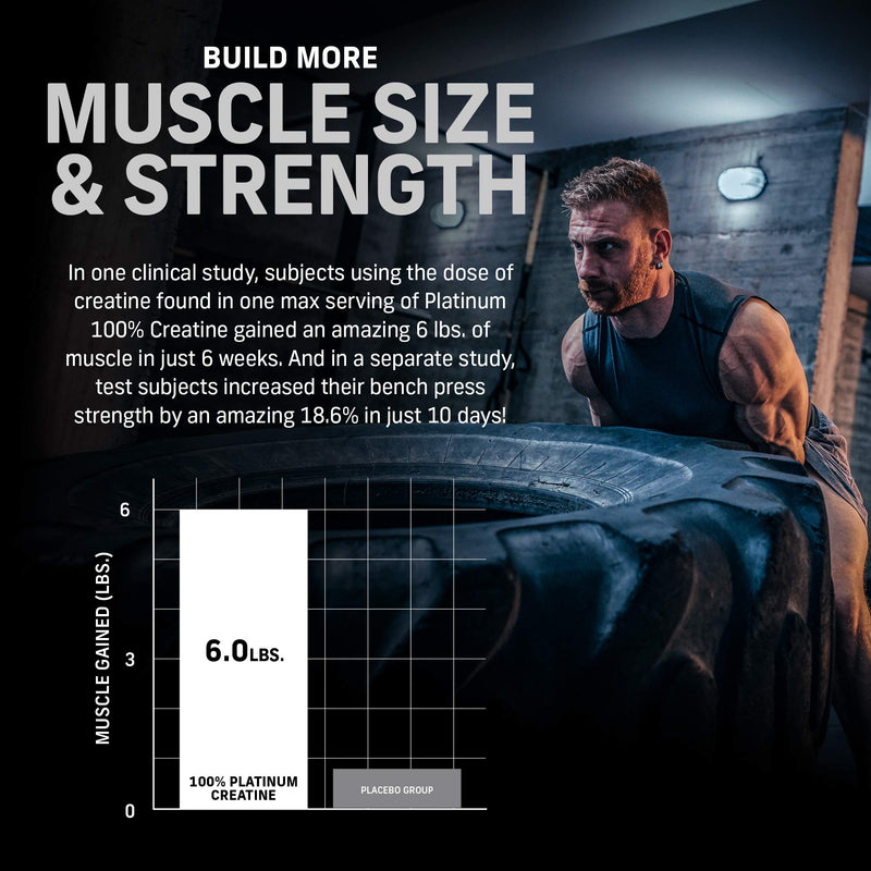 Creatine Monohydrate Powder | MuscleTech Platinum | Pure Micronized | Muscle Recovery + Builder for Men & Women | Workout Supplements | Unflavored (80 Servings) - BeesActive Australia