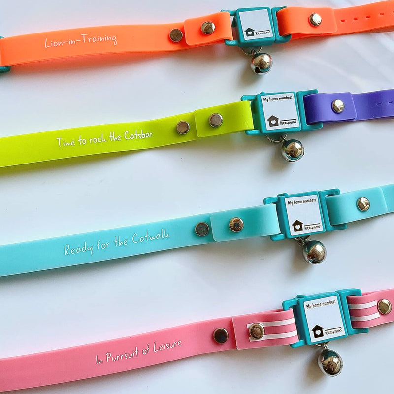 Kittyrama Cat Collar. Award Winning. Breakaway. Vet Approved. As Seen in Vogue. Other Styles Available Kitten KITTEN Aqua - BeesActive Australia