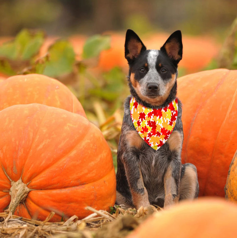 Dog Bandanas 4 Pcs, Thanksgiving Dog Bandana, Adjustable Holiday Dog Bandanas for Small Medium Large Dogs Pets - BeesActive Australia