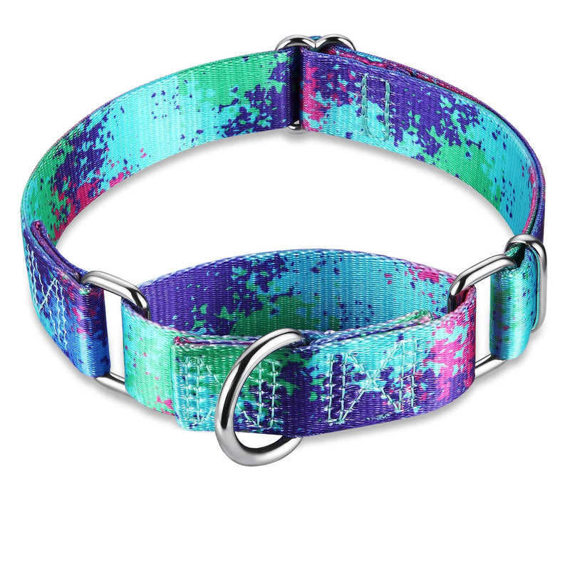 Dazzber Martingale Dog Collars Colourful Oil Painting Pattern Series - No Pull Pet Collar Silky Soft for Medium and Large Dogs Large, 1 Inch Wide Ecology Oasis - BeesActive Australia