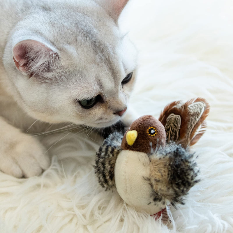 Gigwi Cat Toys for Indoor Cats, Interactive Cat Toy with Real Chirping Bird Electronic Sound, Cat Feather Toys with Soft Plush Relieve Boredom Squeaky - BeesActive Australia