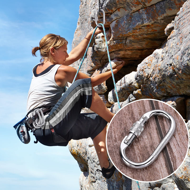 Heavy Duty Carabiner Clip Climbing Carabiner(25kn=5600lbs),Hook with Screwgate Multipurpose for Climbing, Rigging, Ropes, Hammocks (O Shape, 2pack) - BeesActive Australia