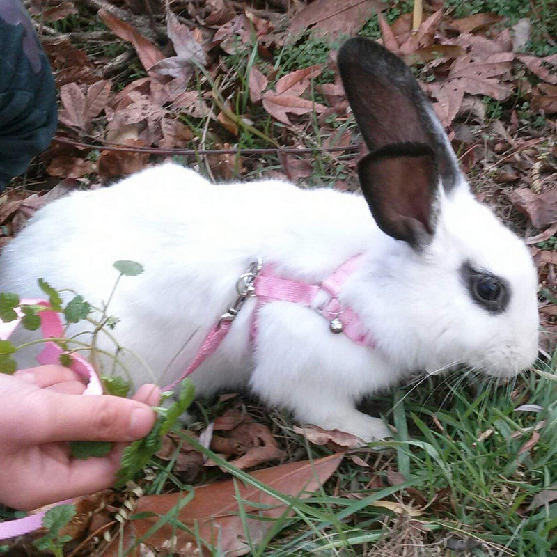 Rabbit Bunny Harness with Leash Adjustable Soft Nylon Harness Rabbit Vest Harness Lead Leash Pink Blue Lead Leash All Season for Small Animals - BeesActive Australia