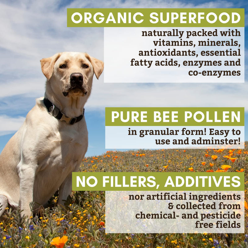 Wholistic Pet Organics Bee Powder: Bee Power Pure Organic Bee Pollen for Dogs - Dog Itch Relief Allergy Supplement - Natural Immune Booster, Anti Itch Skin Treatment and Health Support for Dogs 1 Lb - BeesActive Australia