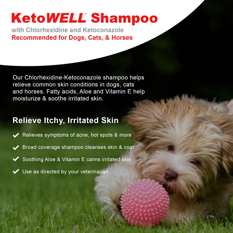 KetoWELL Ketoconazole & Chlorhexidine Shampoo for Dogs & Cats - Medicated Dog Shampoo for Skin Infections, Skin Conditions, Acne, & Pyoderma - 16 oz - BeesActive Australia