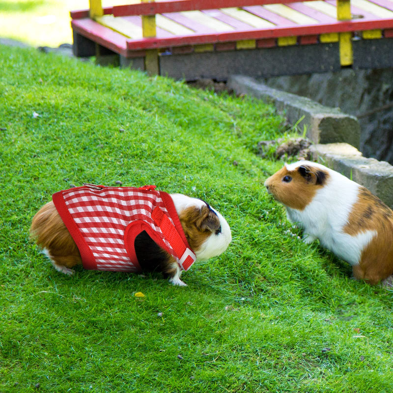 3 Pieces Guinea Pig Harness with Leash Small Pet Harness Fruit Plaid Pattern Adjustable Padded Walking Vest for Pet Hamster Ferret and Squirrel Small Animals Pineapple, Red Plaid, Strawberry - BeesActive Australia