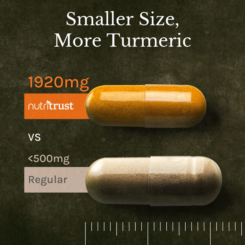 𝗡𝗘𝗪 𝟮𝟬𝟮𝟯* Turmeric and Black Pepper Capsules High Strength, Pure Curcumin with Ginger Roots - Strengthen Joints, Antioxidant, Vegan & Gluten Free, 90 Turmeric Capsules Turmeric Curcumin 1000 mg Capsules - BeesActive Australia