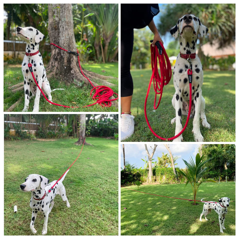 Tuff Pupper Heavy Duty 30 Foot Long Rope Leash for Dogs | Dog Recall Training Leash | High Visibility Strong Climbing Rope Leash | Hand or Waist Worn | Stainless Steel 360° Clips for Tangle Free Use March Red - BeesActive Australia