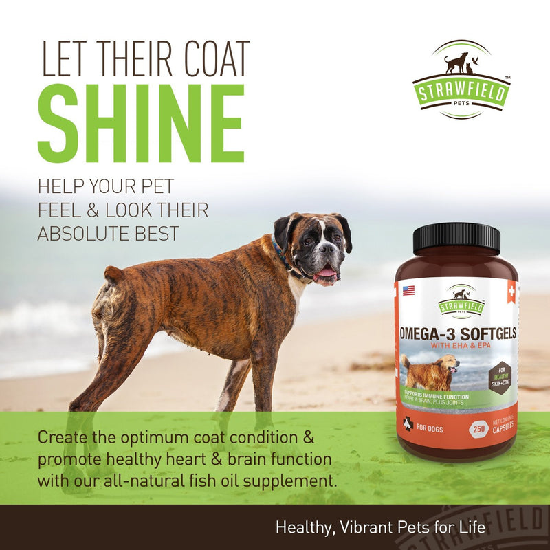 Omega 3 Fish Oil for Dogs, 250 Softgel Pills, 1000 mg EPA DHA Dog Fish Oil Pet Supplement for Joint Support Arthritis Pain Relief, Allergy Itch, Shedding, Healthy Coat, Dry Itching Skin, Hot Spot, USA - BeesActive Australia