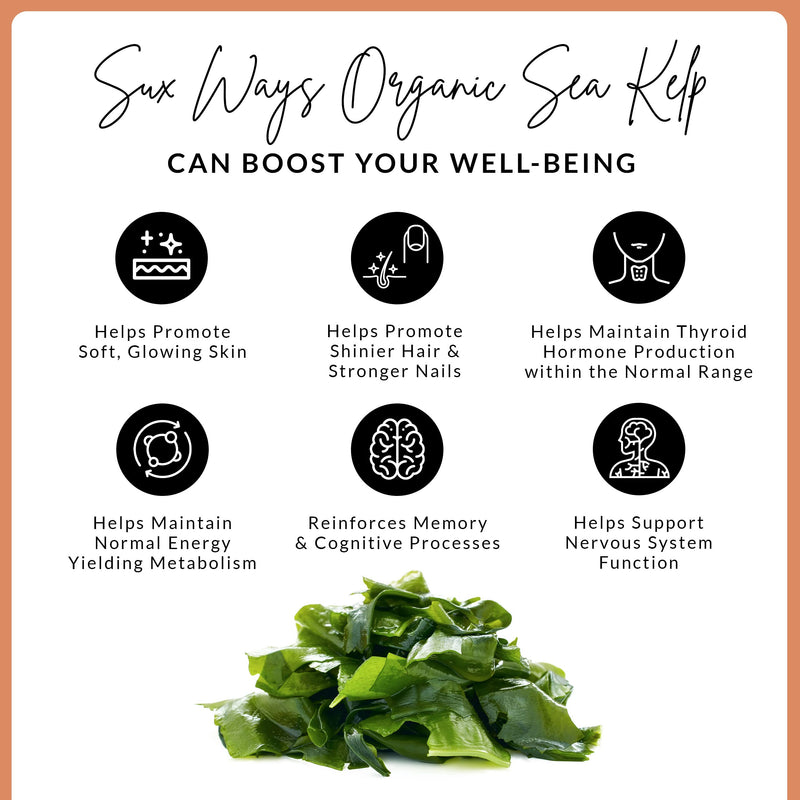 Organic Sea Kelp Capsules with Iodine - Vegan Sea Kelp for Hair, Skin, Nails, Cognitive Process & Thyroid Support - Soy, Sugar, Gluten Free & Lactose Free Supplements - 60 Count Refill, Birch & Wilde - BeesActive Australia