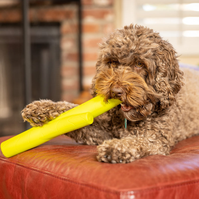 Hyper Pet Chewz EVA Dog Toys & Fossil Durable Dog Chew Toys (EVA: Mild Chewers, Fetch Toy & Floats on Water) FOSSIL: 2 in 1 Chew Toy & Slow Feeder - Bacon Flavored, Long Lasting for Aggressive Chewers one size - BeesActive Australia