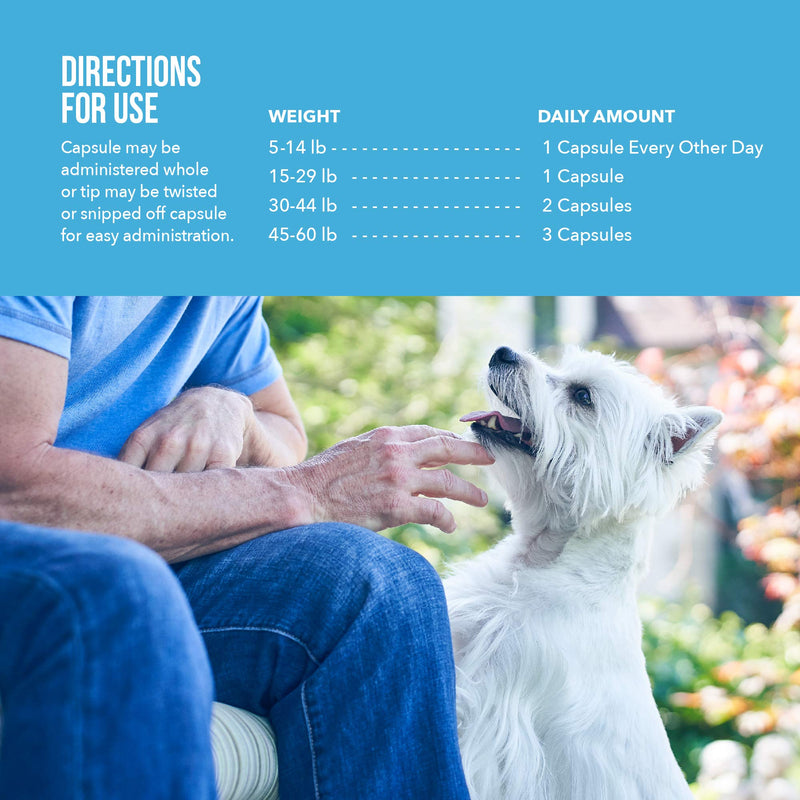 Free Form Snip Tips Sm Dog/Cat - 60ct 60 Count - BeesActive Australia