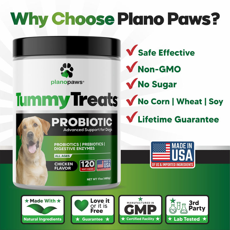 Tummy Treats - Probiotics for Dogs - All Natural Dog Probiotics and Digestive Enzymes - Allergy Relief for Dogs - 120 Dog Breath Treats - Dog Allergy Chews - Fiber for Dogs - Safe Dog Breath Freshener - BeesActive Australia
