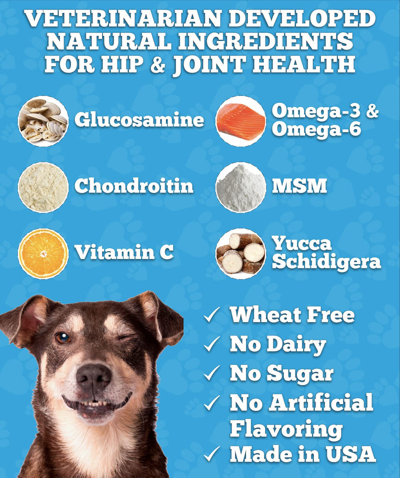 Well Loved Glucosamine for Dogs - Joint Supplement for Dogs, Made in USA, Vet Developed, Dog Joint Supplement, Glucosamine Chondroitin for Dogs, Advanced Hip and Joint Chews with MSM, Pain Relief, 120 - BeesActive Australia
