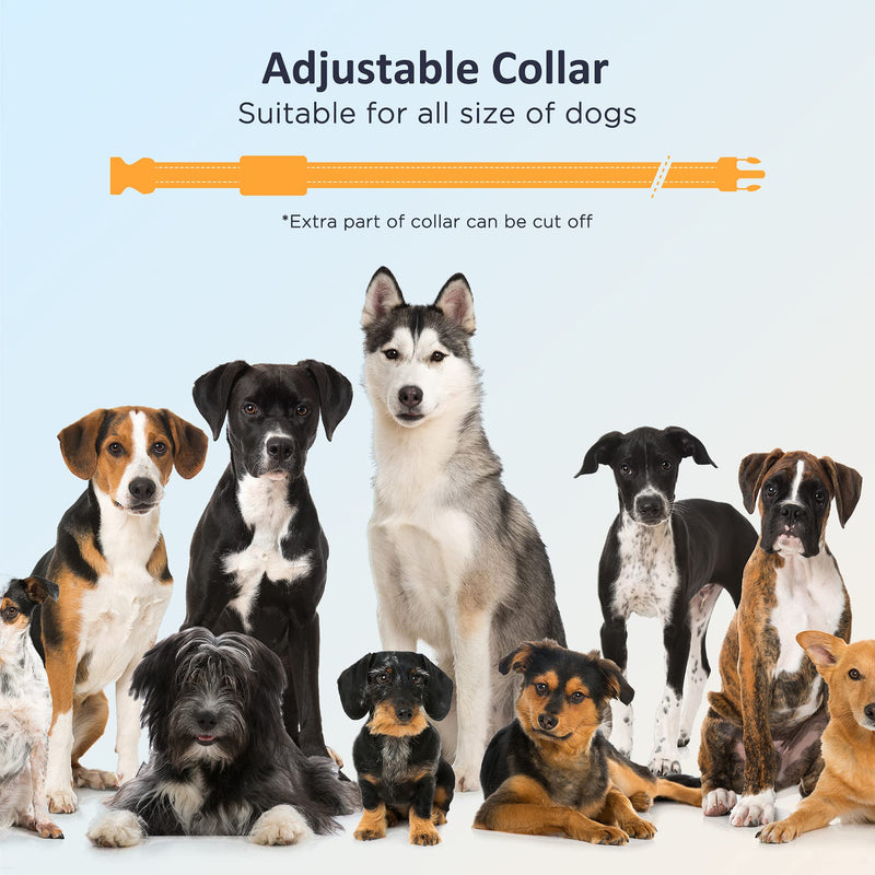 Patpet Dog Training Collar with Remote - Shock Collar for Large DogPATPET Dog Training Collar Rechargeable Waterproof Shock Collars for Dogs with Remote 3 Training Modes, Beep, Vibration and 16 Static Levelss, IPX7 Waterproof Training Collar with Beep,... - BeesActive Australia
