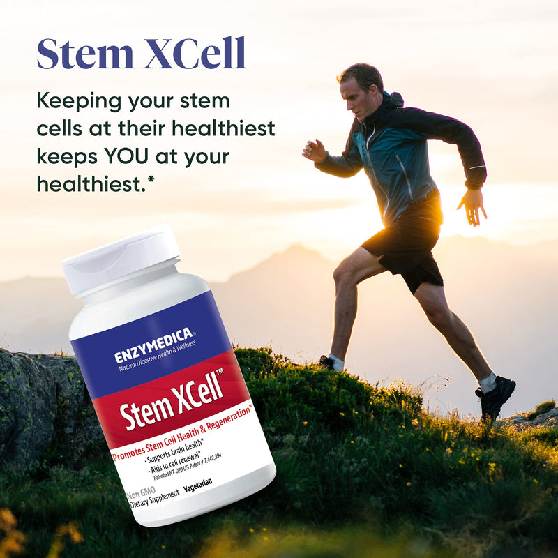ENZYMEDICA - Stem XCell (60 Capsules) | Therapeutic Enzymes Supplements | Enzyme and Antioxidant Blend for Stem Cell Health and Regeneration, Nutrient Supplements, Vegetarian, Dairy Free, Gluten Free - BeesActive Australia