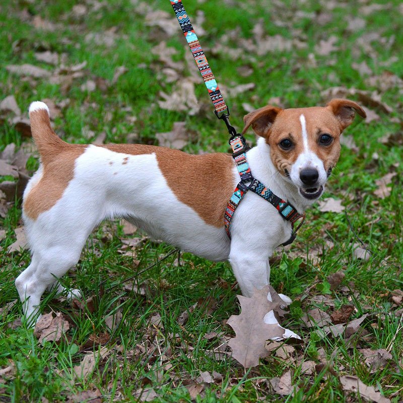 CollarDirect Adjustable Dog Harness Tribal Pattern Step-in Small Medium Large, Comfort Harness for Dogs Puppy Outdoor Walking Pattern 1 - BeesActive Australia