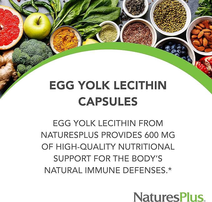 Egg York Lecithin (Egg Yolk Lecithin) - BeesActive Australia