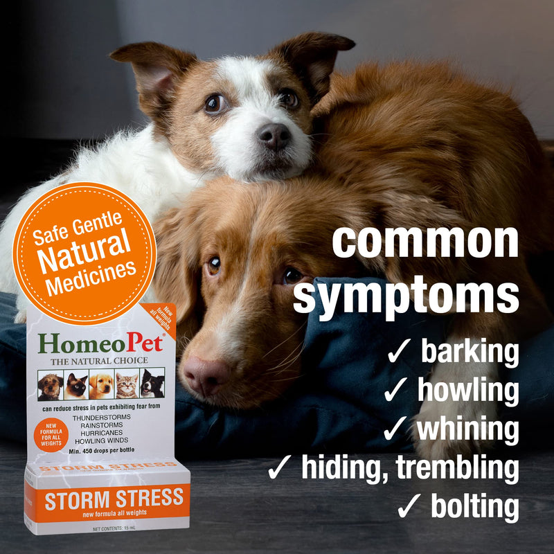 HomeoPet Storm Stress, Storm Anxiety Relief for Dogs, Cats, and Other Small Animals, 15 Milliliters 20 to 80-Pound - BeesActive Australia