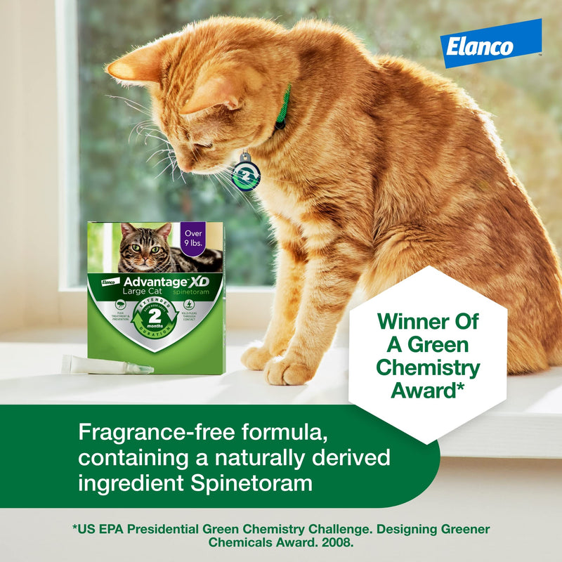Advantage XD Long-Lasting Flea Prevention & Treatment for Large Cats (Over 9 lbs) 1 Pack - BeesActive Australia
