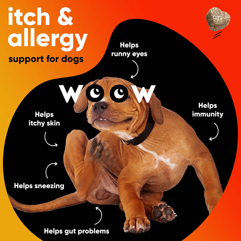 Dr Woow Immunity Allergy Chews for Dogs Itching, Dog Allergy Chews for Allergy Relief & Itch Relief, Duck Flavor Allergy Dog Chews, Dog Itchy Skin Treatment Supplements, Anti Itch, Probiotic for Dogs - BeesActive Australia