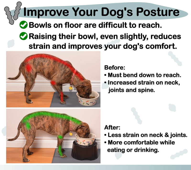 PegSet My Bowl Stand | 5” Elevated Stand for Any Dog Bowl up to 7.5” Width, Lift Your Pet’s Food or Water, Reduces Joint Strain, Sturdy and Durable, Washable and Stackable, Adjustable Raised Feeder 5" Height, for Bowl up to 7.5" Base Width Black - BeesActive Australia