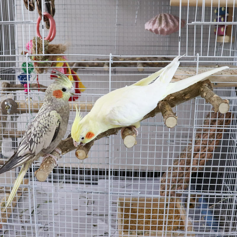 2 Pack Bird Ladder, Bird Perch Stand, Natural Prickly Ash Wood Bird Parrot Cage Accessories, Bird Standing Climbing Chewing Toys for Parakeet Cockatiel Rats Hamsters - BeesActive Australia