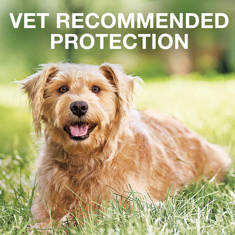 K9 Advantix II Flea and Tick Prevention for Large Dogs 3-Pack, 21-55 Pounds - BeesActive Australia